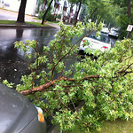 (Broken Branch) at 11401–11499 102 Ave NW
