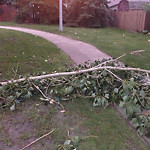 (Broken Branch) at 3728 63 St NW