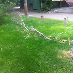 (Broken Branch) at 9407 100 A St NW
