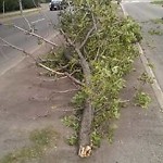 (Broken Branch) at 8703 8723 104 St NW Edmonton, Ab T6 E
