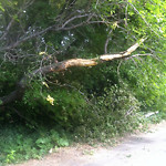 (Broken Branch) at 10215–10219 87 St NW