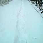 (Winter Sidewalk Maintenance) at 13503 St Albert Trail NW
