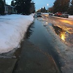 (Winter Sidewalk Maintenance) at 8712 151 Street NW