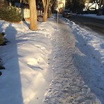 (Winter Sidewalk Maintenance) at 9203 117 Street NW