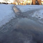 (Winter Sidewalk Maintenance) at 3608 U 85 Street NW