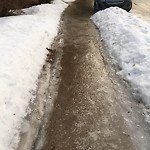 (Winter Sidewalk Maintenance) at 12511 40 Ave NW