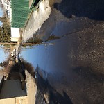 Road Flooded/Drain Blocked at 8823 161 St NW West Edmonton