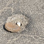 Manhole Covers/Catch Basin Concerns at 550 Millbourne Road East NW