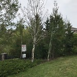 Dead Trees - Public Property at 680 Geissinger Road NW