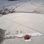 (Manhole Covers/Catch Basin Concerns) at 9616 103 Street NW