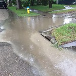 Road Flooded/Drain Blocked at 12915 116 Street NW
