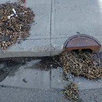 Manhole Covers/Catch Basin Concerns at 10215 106 Street NW