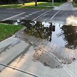 Road Flooded/Drain Blocked at 10204 130 Street NW