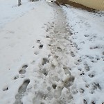 (Winter City Maintained Sidewalk) at 5625 14 Avenue NW