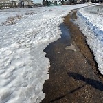 (Winter City Maintained Sidewalk) at 4020 106 Street NW