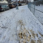 (Winter City Maintained Sidewalk) at 2845 43 A Avenue NW