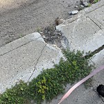 Sidewalk Concern at 18516 97 A Avenue NW