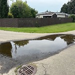 Pooling water due to Depression on Road at 15202 81 Avenue NW