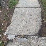 Sidewalk Concern at 3835 112 Avenue NW