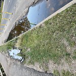Pooling water due to Depression on Road at Queen Elizabeth Park, 10500–10542 Saskatchewan Dr Nw, Edmonton T6 E 4 S1