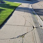 Sidewalk Concern at 1355 Carter Crest Rd Nw, Edmonton, Ab T6 R 2 L5, Canada