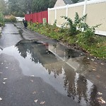 Pooling water due to Depression on Road at 12312 63 Avenue NW