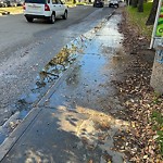 Pooling water due to Depression on Road at 8125 110 Street NW