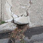 Sidewalk Concern at 2340 Millbourne Rd W NW