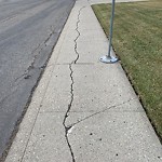 Sidewalk Concern at 7904 142 Ave NW