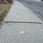 Sidewalk Concern at 4011 89 Street NW