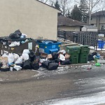 Overflowing Garbage Cans at 6904 29 Avenue NW