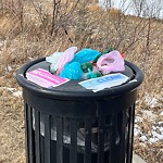 Overflowing Garbage Cans at 3030 Winspear Common SW