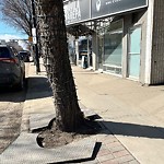 Obstruction - Public Road/Walkway at 10754 82 Avenue NW
