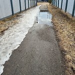 Pooling water due to Depression on Road at 8732 12 Avenue SW