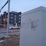 Graffiti Public Property at 2803 James Mowatt Trail SW