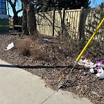 Litter Public Property at 4800 111 Street NW