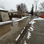 Pooling water due to Depression on Road at 11317 St Albert Trail NW