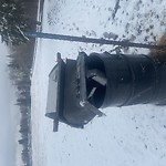 Overflowing Garbage Cans at Floden Park, 4209 111 Ave Nw, Edmonton T5 W 4 M7