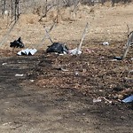 Litter Public Property at 21879 34 St Nw, Edmonton, Ab T5 Y, Canada