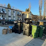 Overflowing Garbage Cans at 10706 85 Avenue NW