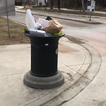 Overflowing Garbage Cans at 10943 84 Avenue NW