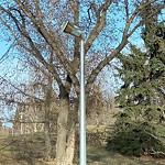 Streetlight Maintenance at 1501 Knottwood Road North NW