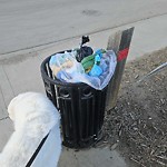 Overflowing Garbage Cans at N53.64 E113.43