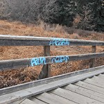Graffiti Public Property at N53.54 E113.53