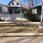 Tree/Branch Damage - Public Property at 9836 83 Avenue NW