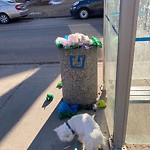 Overflowing Garbage Cans at 10167 89 Street NW