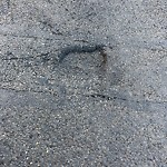 Potholes at 15523 95 Avenue NW