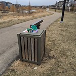 Overflowing Garbage Cans at 1281 Watt Drive SW