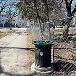 Overflowing Garbage Cans at 11817 105 Avenue NW