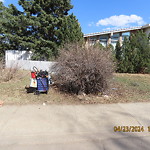 Overgrown Trees - Public Property at 13623 38 St Nw, Edmonton T5 A 2 N1